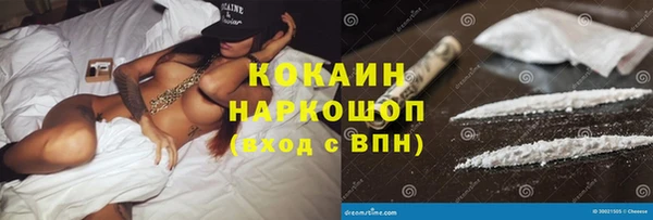 гашик Осташков