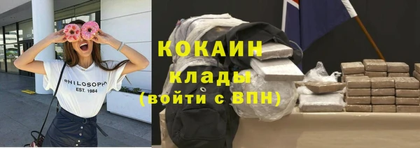 гашик Осташков