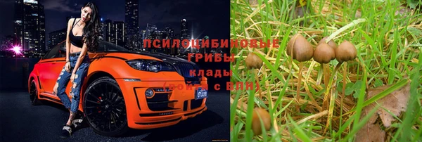 гашик Осташков