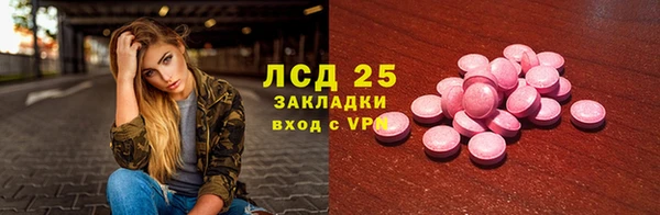 прущие грибы Абаза
